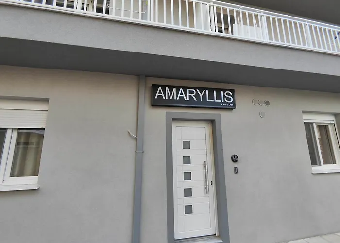 Amaryllis Maison Viziis