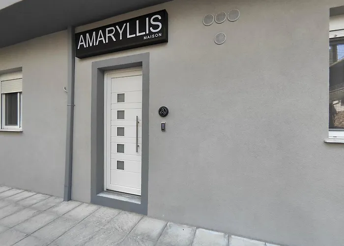Amaryllis Maison Viziis